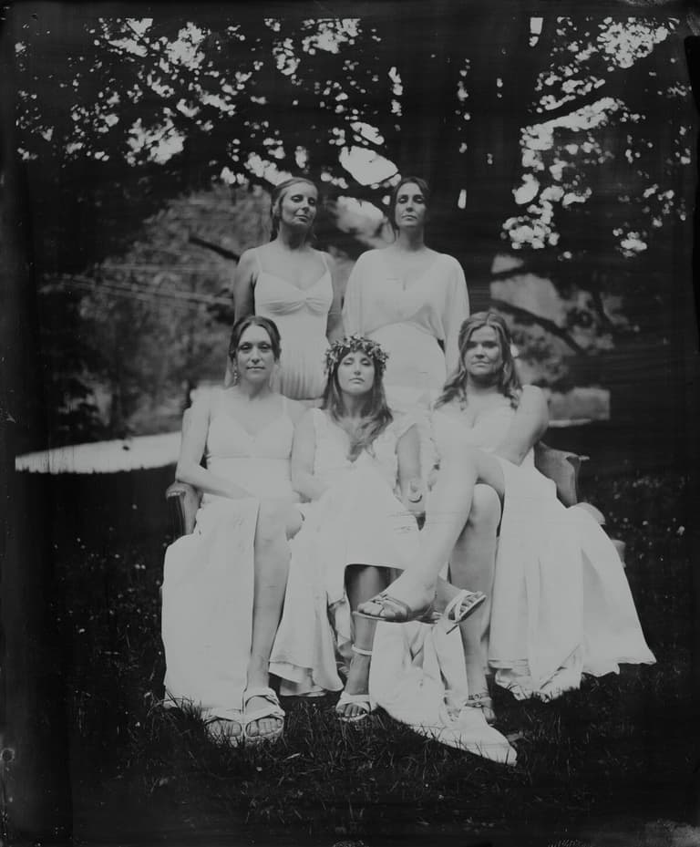 Bridal party in white gowns gathered beneath a spreading tree
