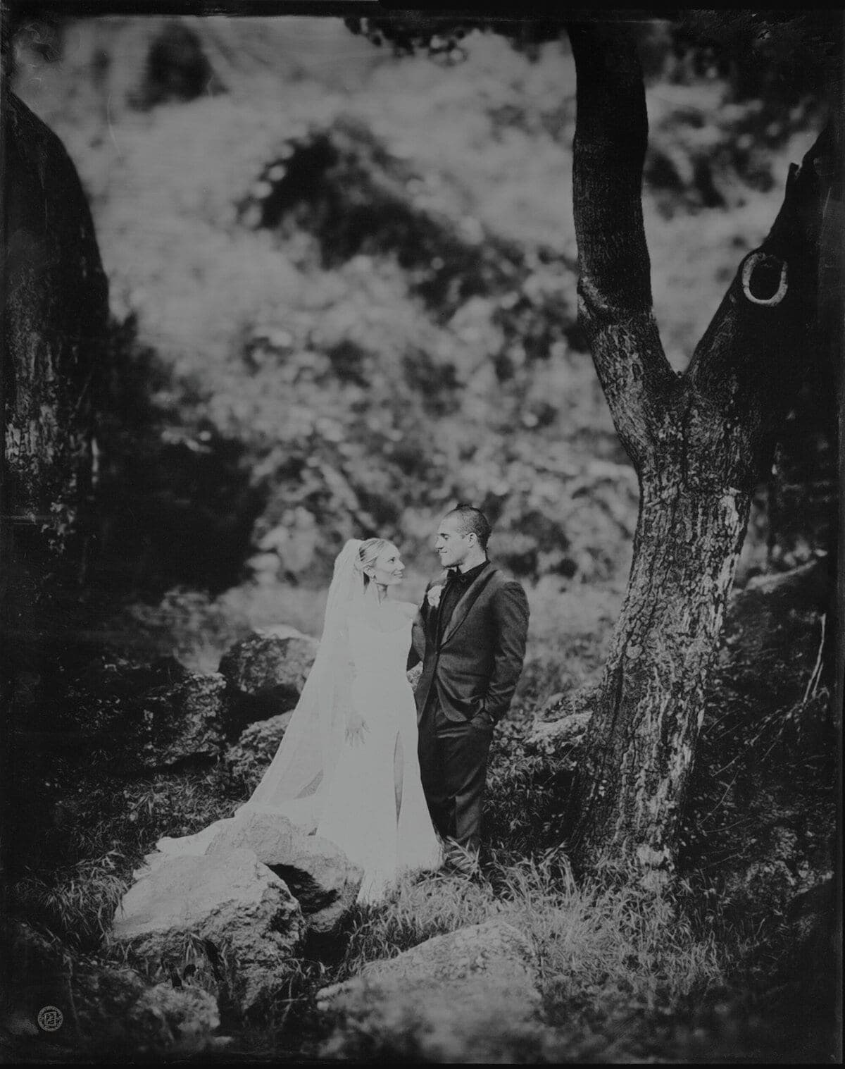 Tintype of a bride and groom beneath a gnarled tree